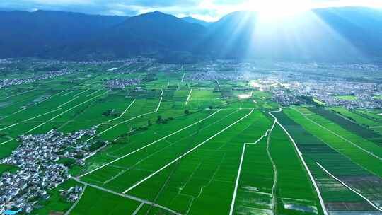 大理苍山耶稣光稻田景观