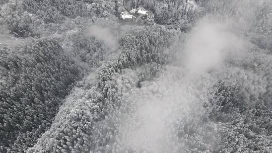 冬天森林雪景