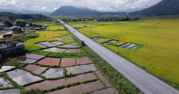 乡村穿过金黄田野的公路