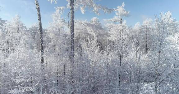 零下40度的低温航拍大兴安岭冰雪雾凇