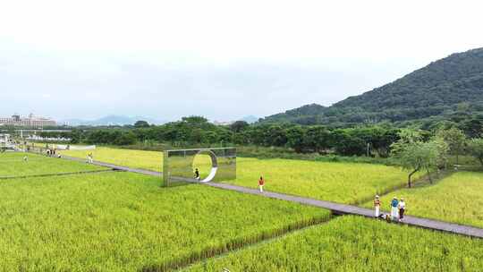 中国广东省广州市从化艾米稻香小镇