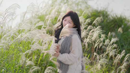 芦苇荡 秋日芦苇人像