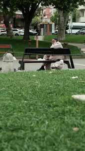 坐在公园长椅上的伊斯兰教人