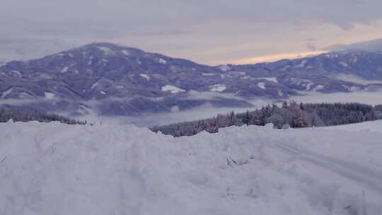 狗、雪、梗、山