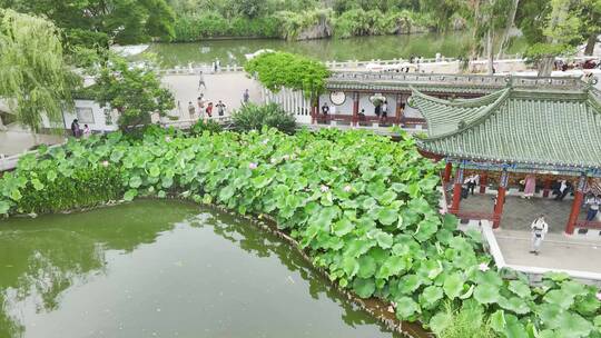 昆明大观楼公园航拍