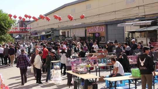 古玩市场  步行街 鸽子 花鸟市场 人流