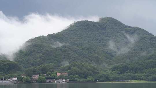 雨天云雾缭绕的东莞同沙生态公园