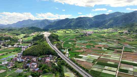 公路穿过乡村绿色稻田