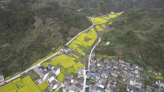 春日宣城市绩溪县瀛洲村风光航拍素材