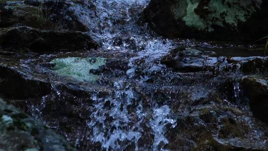 江南树林森林生态泉水溪水升格空镜