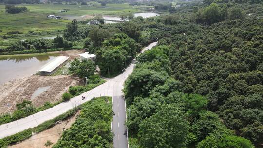 乡村道路航拍