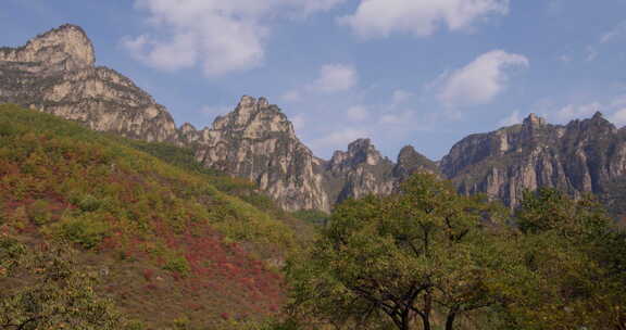 太行山山峰山坡红叶03【10bit延时】