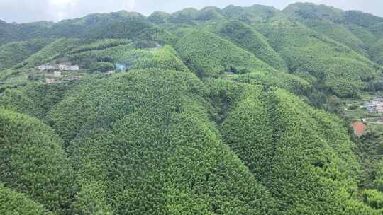 平塘马安竹海航拍 竹林森林云海