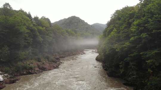 森林溪流流水 山间溪流瀑布视频素材模板下载