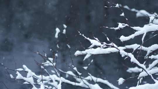 冬天雪景树林雾凇实拍合集