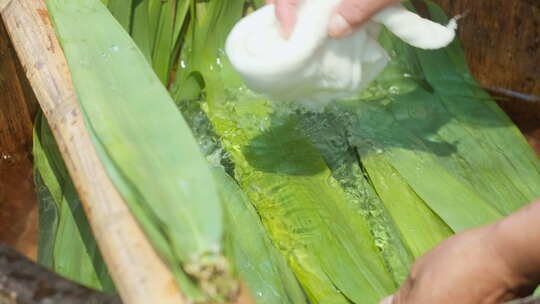 端午节五月节包粽子清洗粽叶子