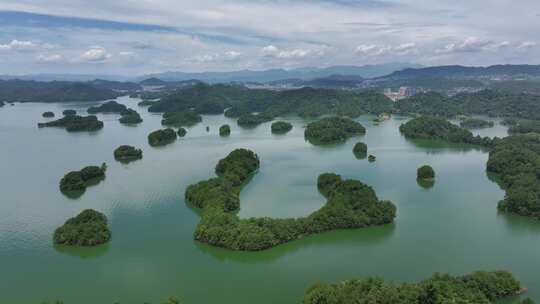 千岛湖黄山尖天下为公景区