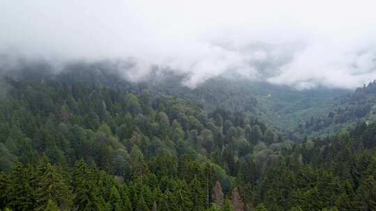 Giresun，Giresun，Türk