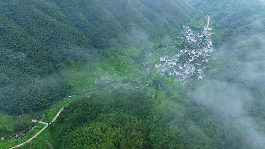 婺源障山村5