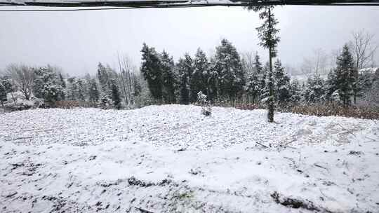 寒潮冬天下雪的村庄田野