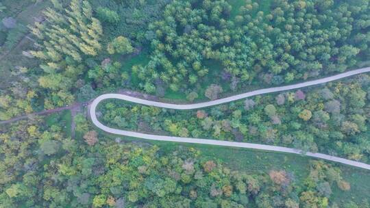 航拍东北秋季树林中的道路