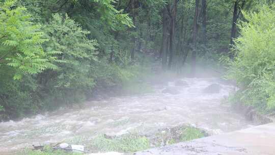 森林中 山泉小溪水