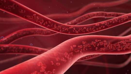 供血不足 血液流动 人体器官 血管老化
