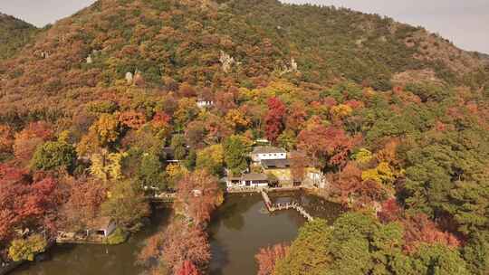 苏州天平山枫叶红了