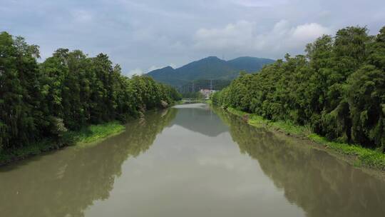 平静的河面