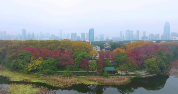 武汉东湖风景区深秋风光