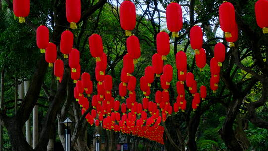过年春节挂在树上的灯笼张灯结彩