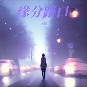 缘分路口DJ小圣版