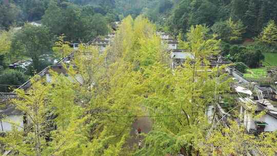 中国广东省韶关市南雄市帽子峰森林公园景区