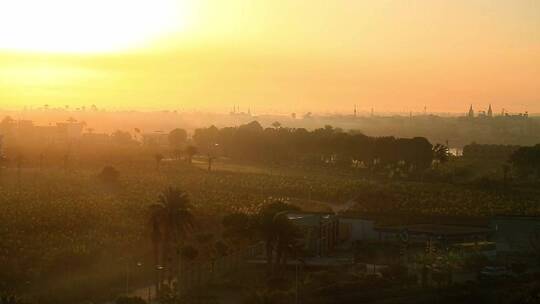 朝阳下的埃及农田