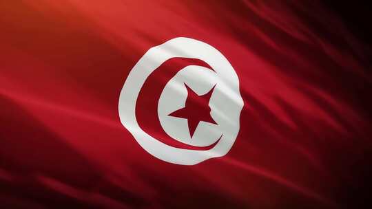突尼斯国旗挥舞-4K视频素材模板下载