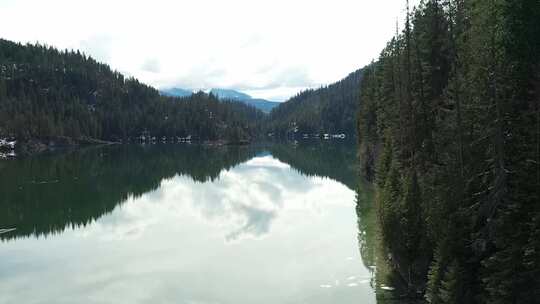 森林树木和山区的河流