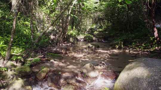 自然小溪流水山泉水