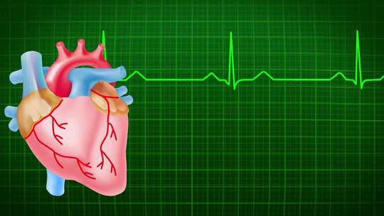 模拟心脏跳动视频素材模板下载
