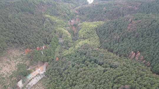 高山森林植物信号塔航拍