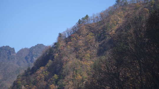 秦岭秋季风景