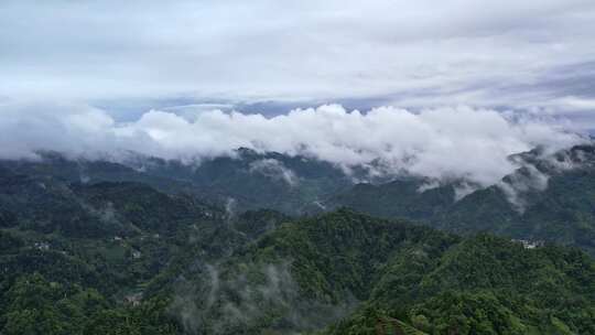 大雾清晨云雾大山云海森林自然云山脉山区