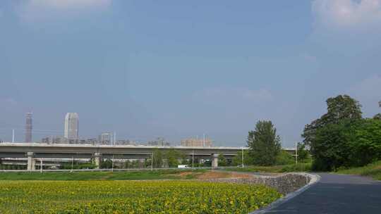 成都有花田前景的高铁道路与城市
