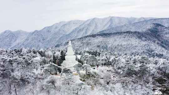 山中雪景