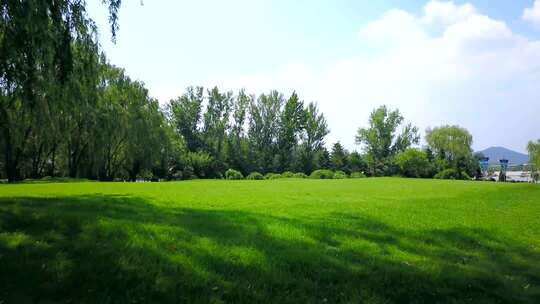 户外绿地树林自然景观