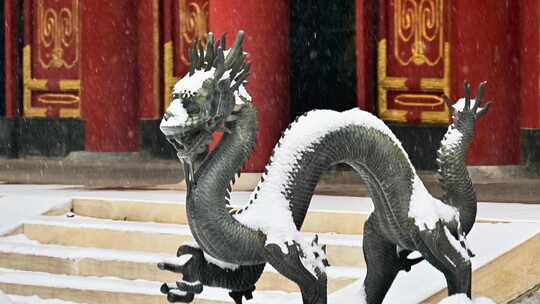 冬天北京颐和园大雪纷飞落满积雪的龙雕狮子