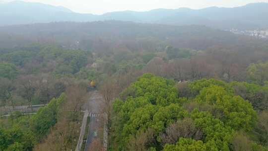 杭州植物园春天风景视频素材航拍