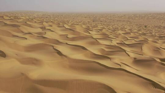 新疆塔里木盆地浩瀚的沙漠