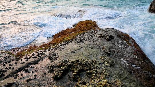 海南早晨海岛日出大海海浪拍打礁石视频素材模板下载