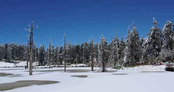 高清实拍瓦屋山冬天雪景雪山森林