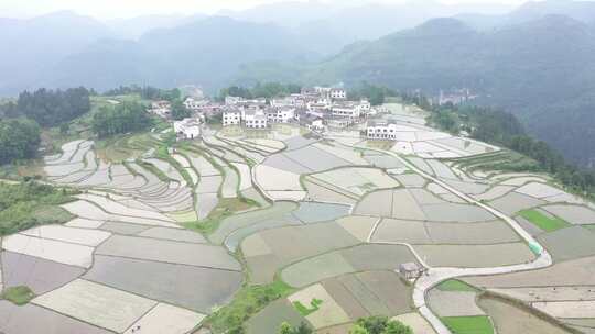 航拍贵州花溪高坡乡石门梯田-原视频